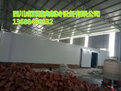 大邑楊總大蒜冷庫